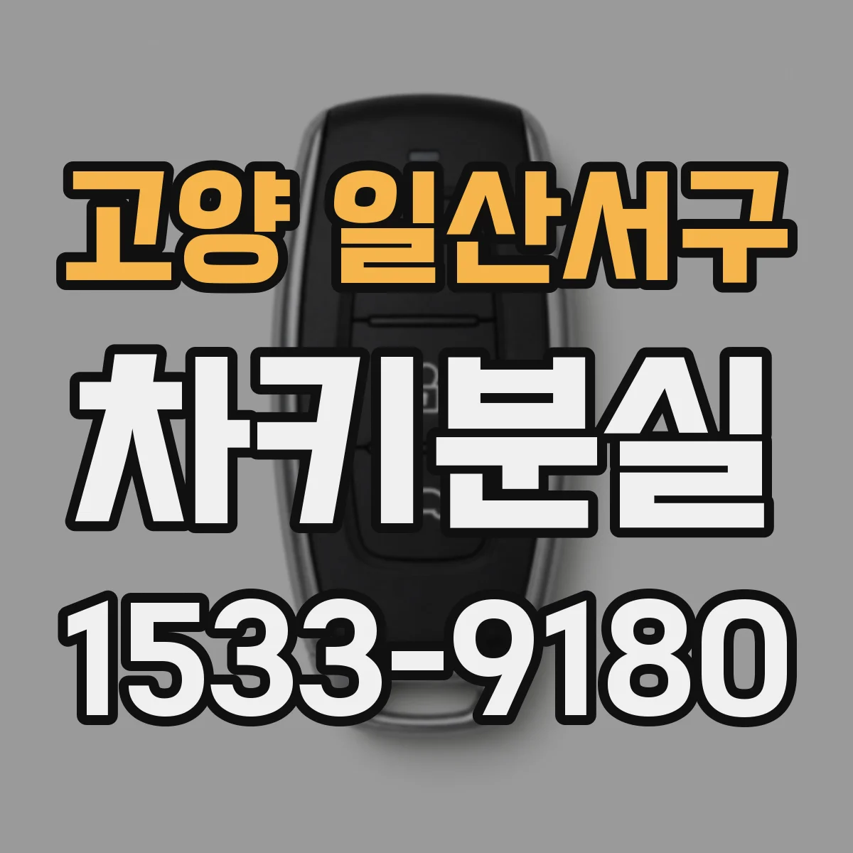 고양 일산서구 차키분실