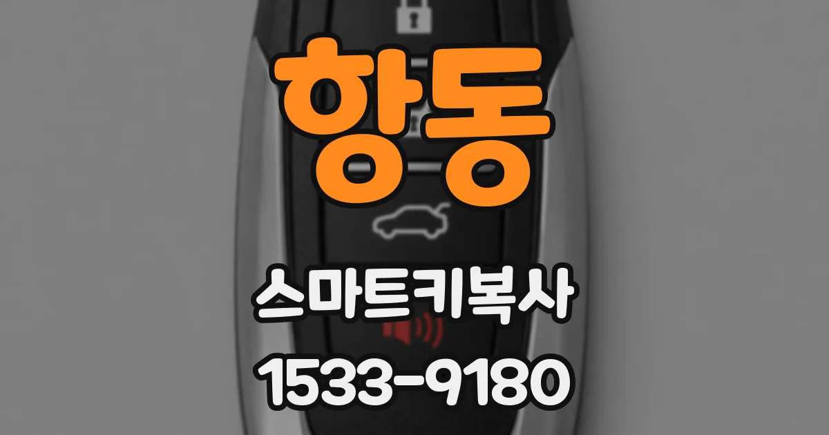 항동 스마트키복사