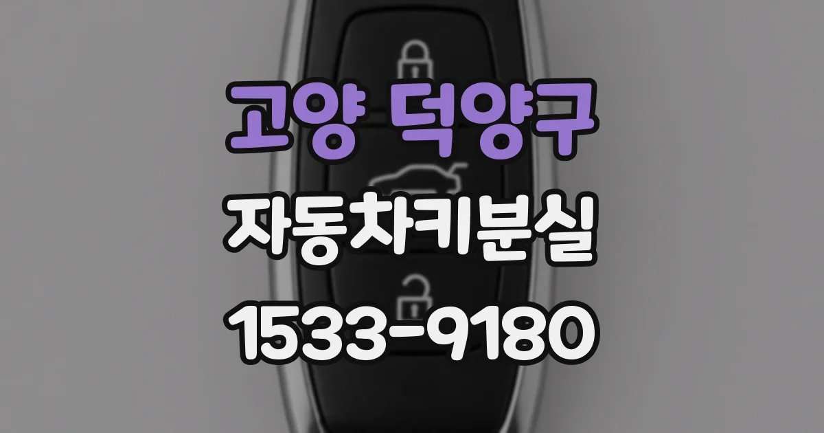 고양 덕양구 자동차키분실