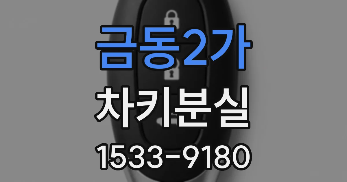 금동2가 차키분실