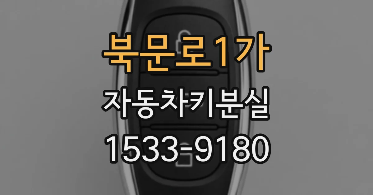 북문로1가 자동차키분실