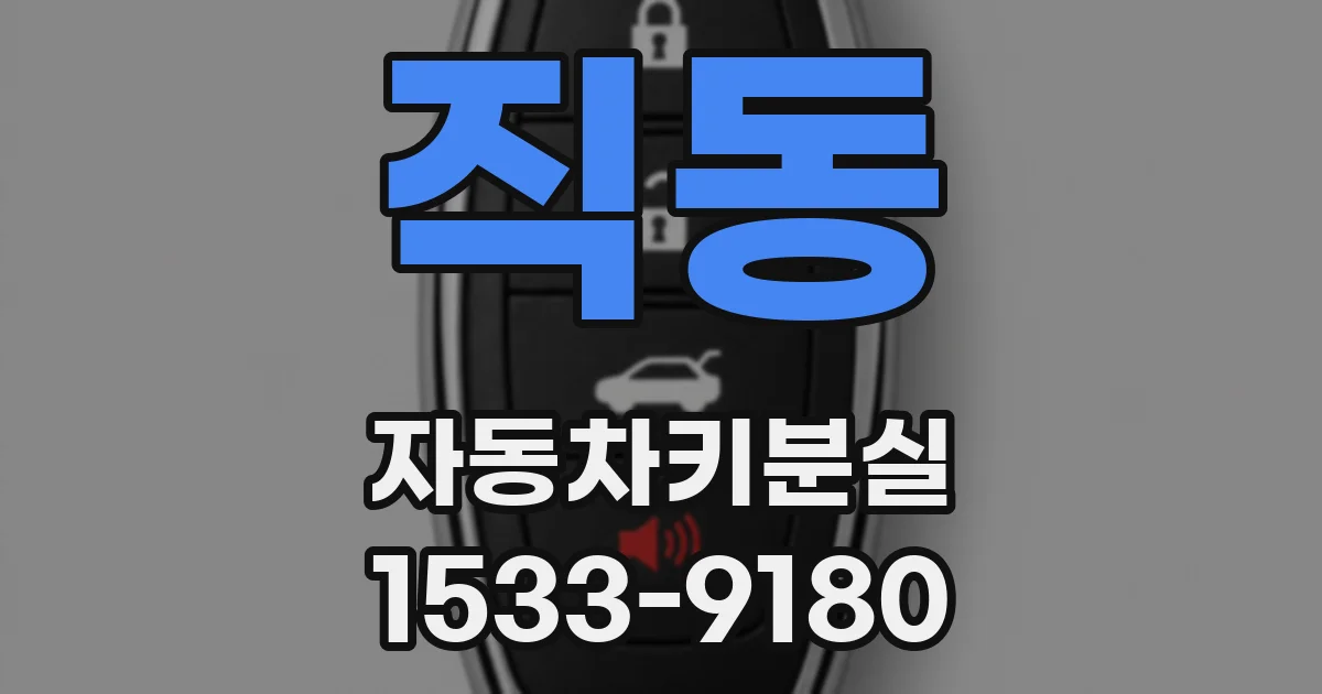 직동 자동차키분실