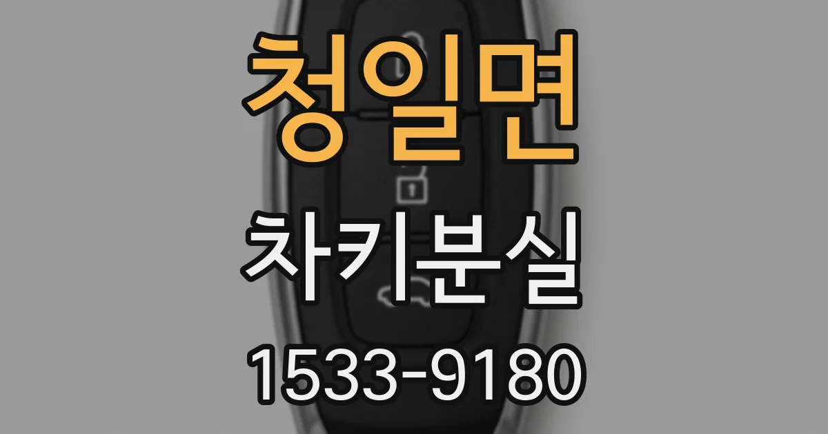 청일면 차키분실