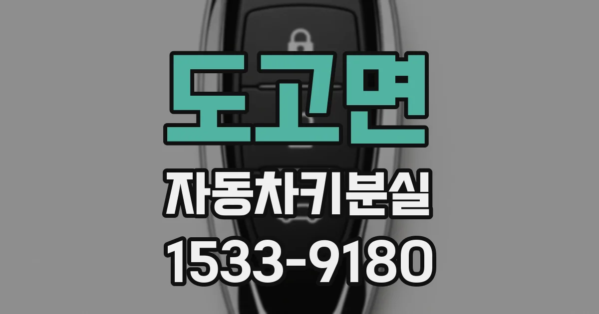 도고면 자동차키분실
