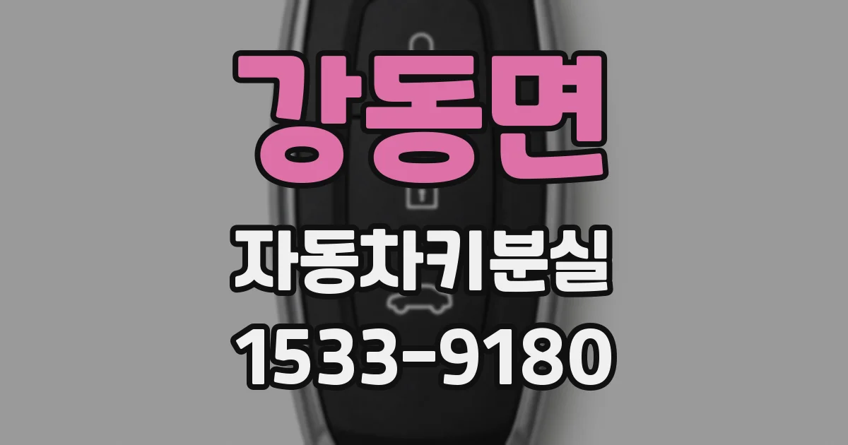 강동면 자동차키분실