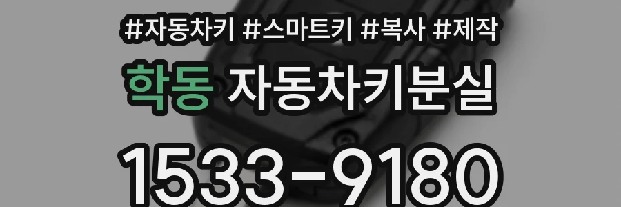 학동 자동차키분실