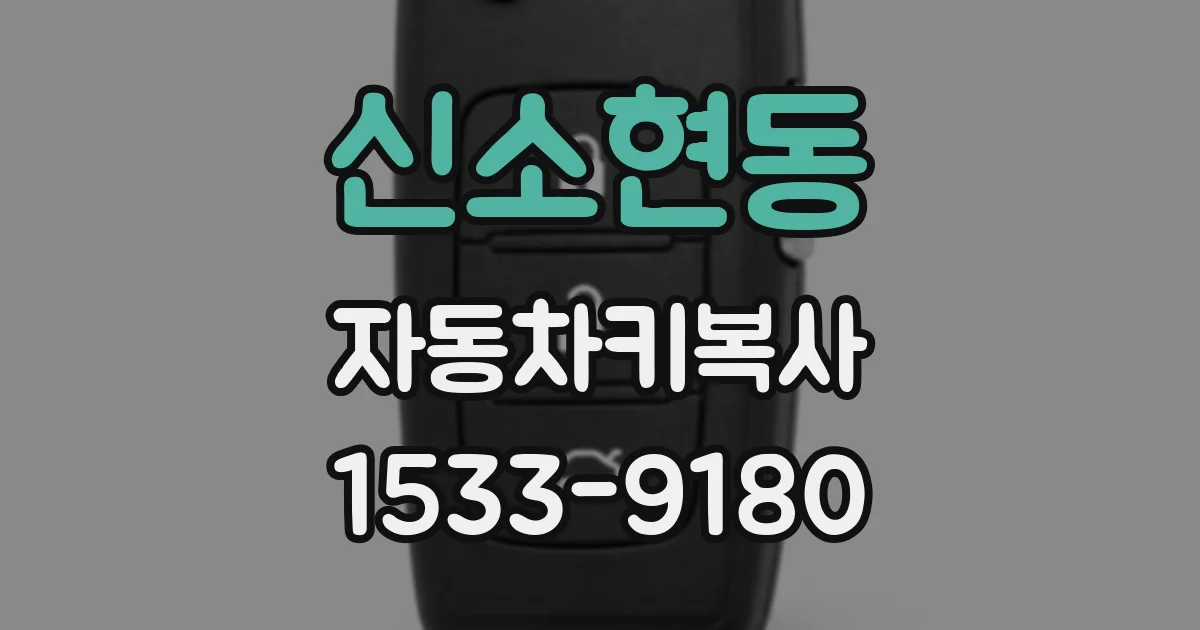 신소현동 자동차키복사