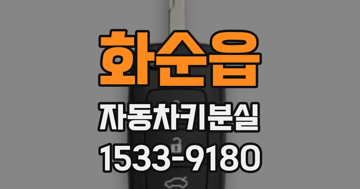 화순읍 자동차키분실