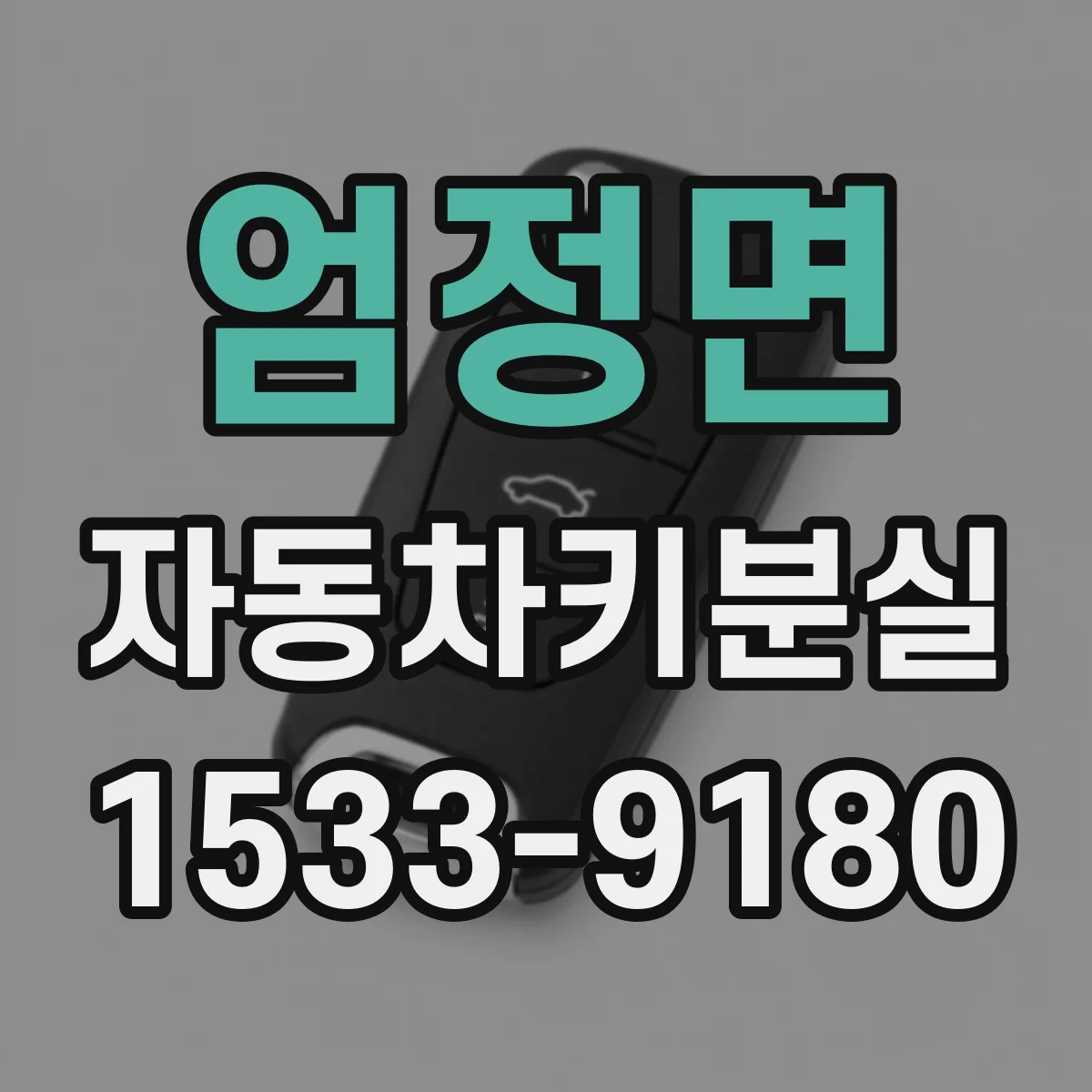 엄정면 자동차키분실