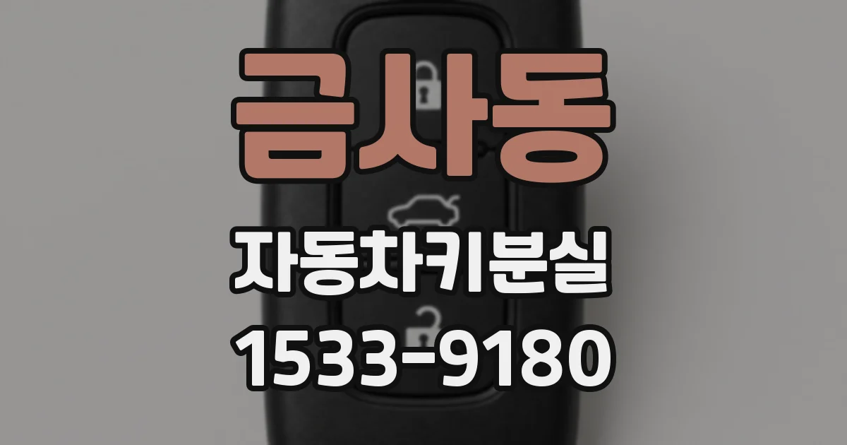 금사동 자동차키분실