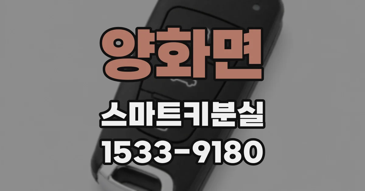 양화면 스마트키분실