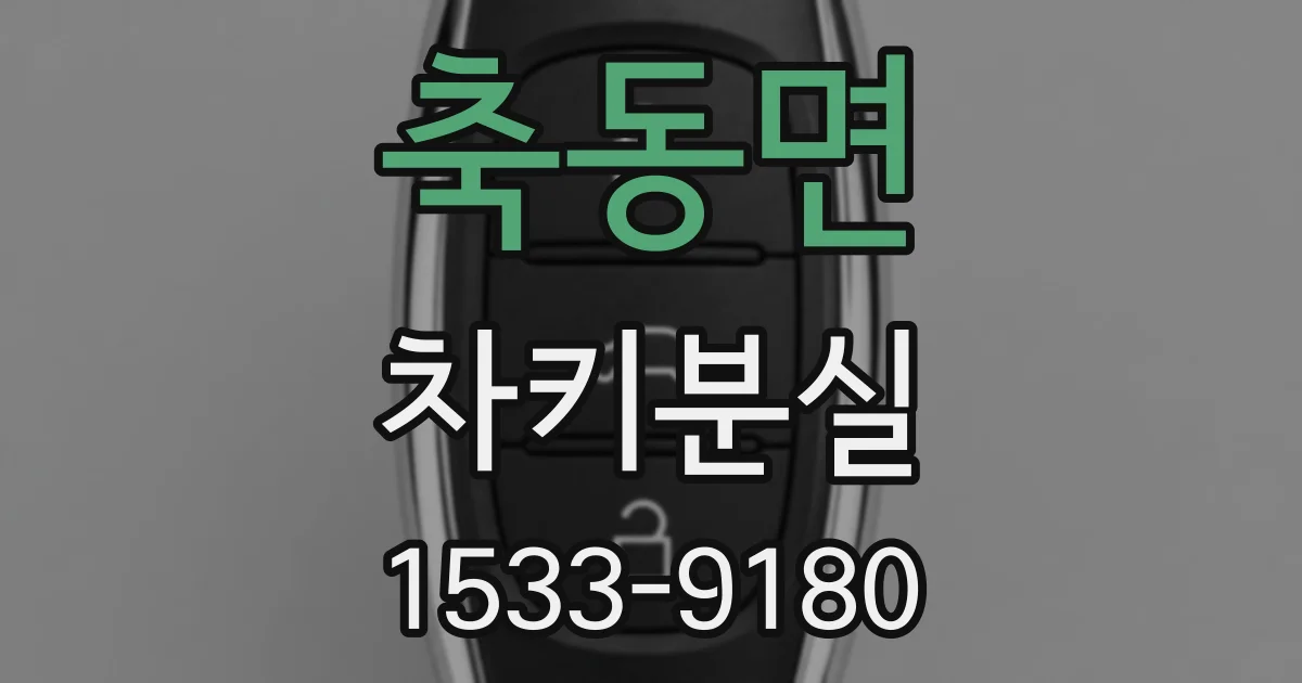 축동면 차키분실