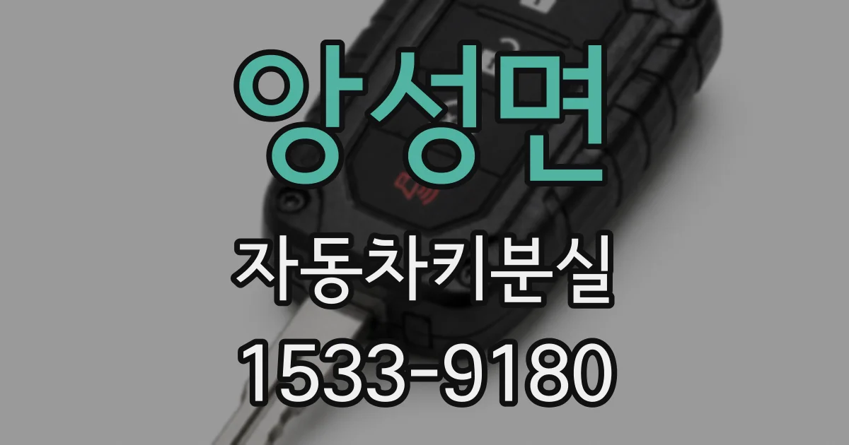 앙성면 자동차키분실