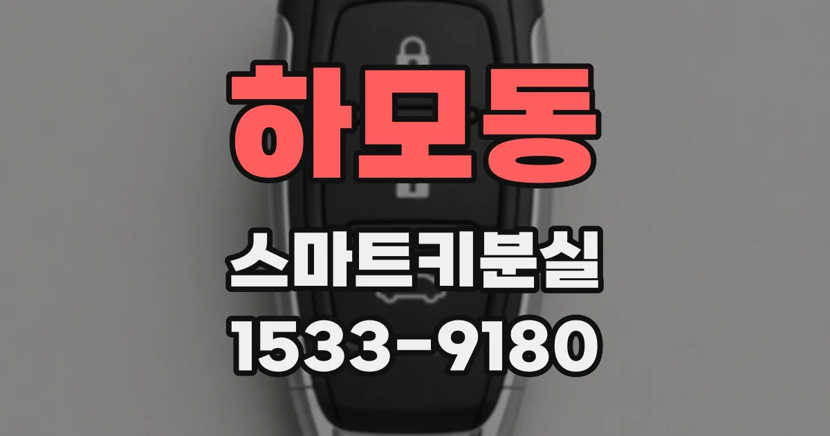 하모동 스마트키분실