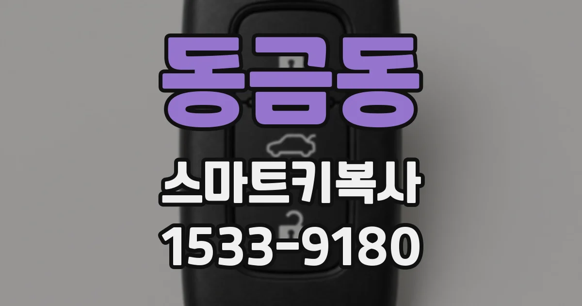 동금동 스마트키복사