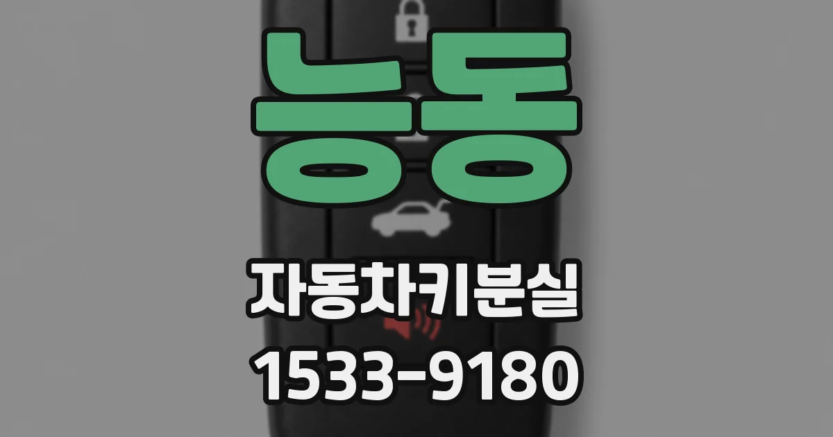 능동 자동차키분실