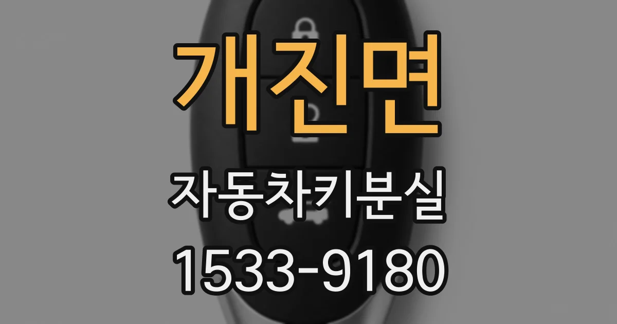 개진면 자동차키분실