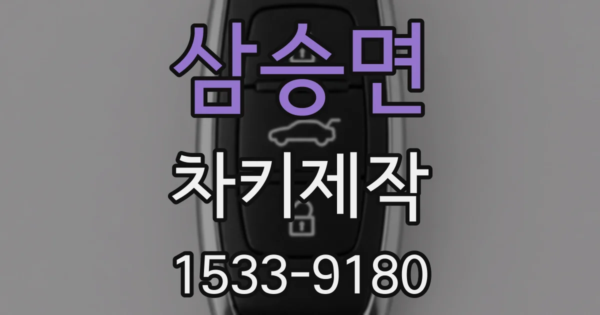 삼승면 차키제작