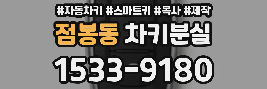 점봉동 차키분실