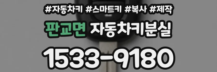 판교면 자동차키분실