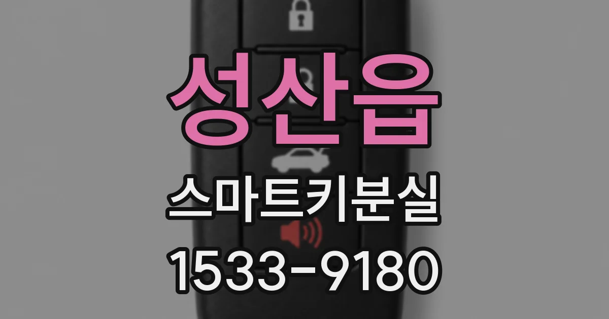 성산읍 스마트키분실