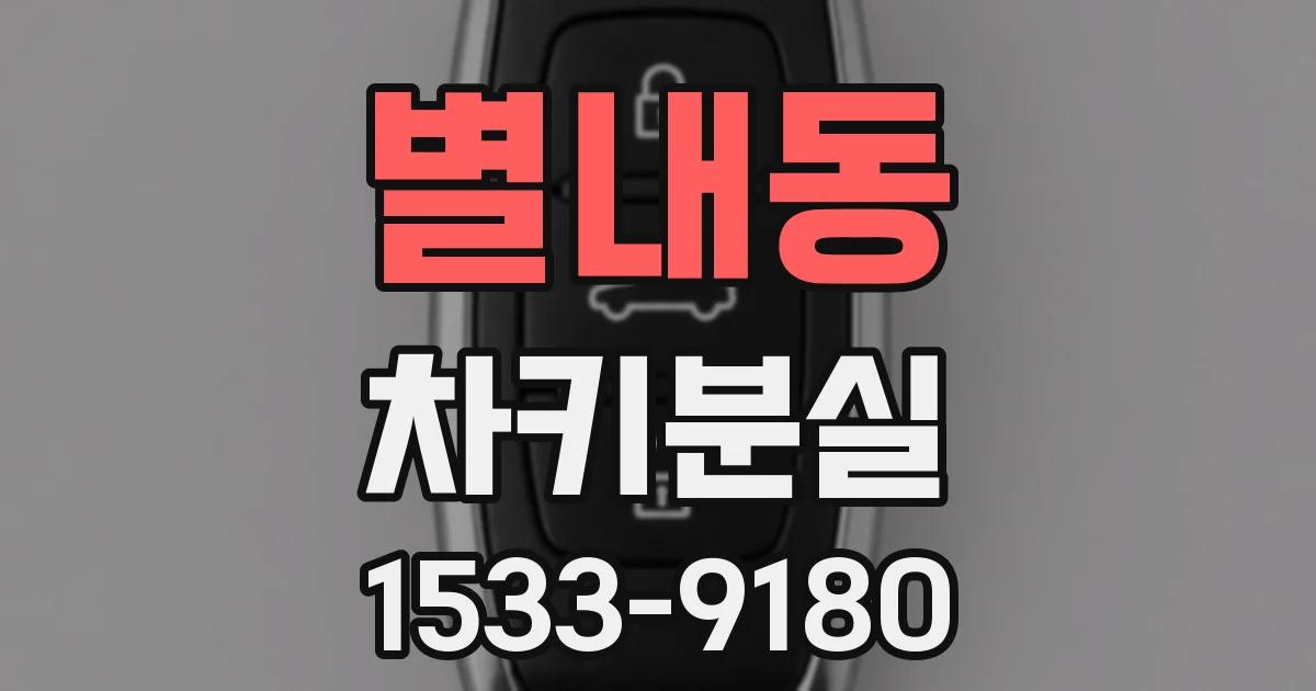 별내동 차키분실