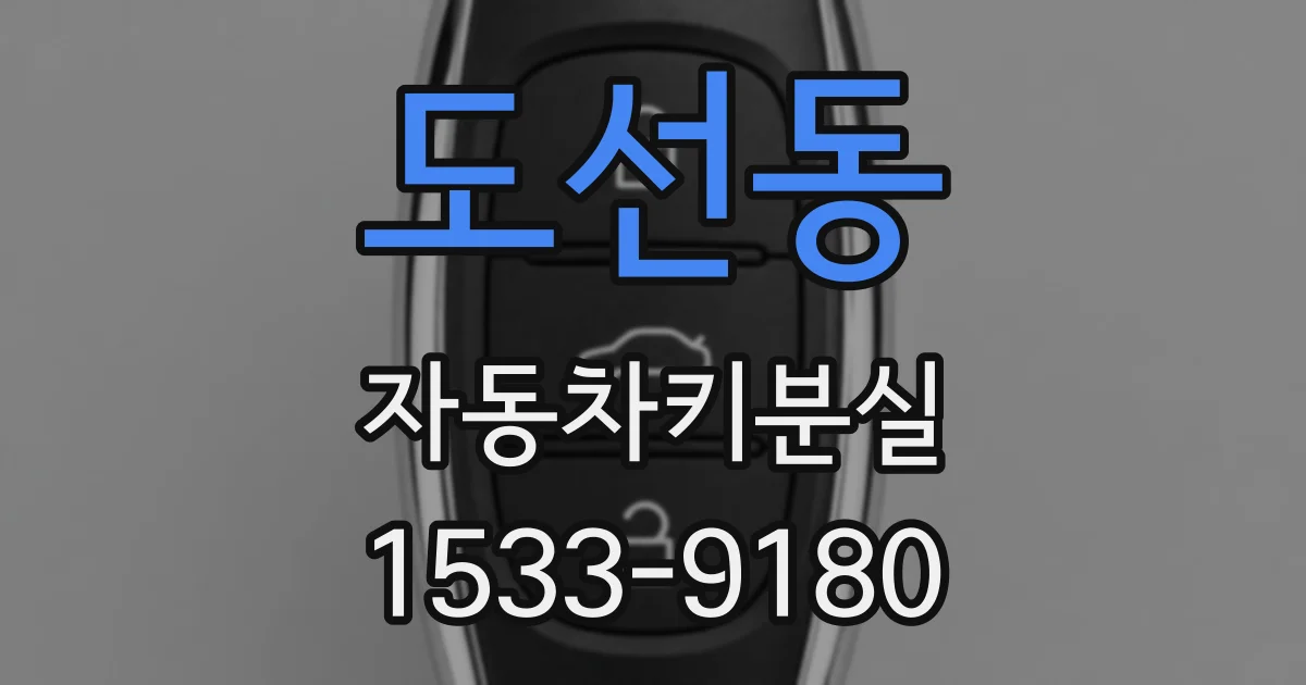 도선동 자동차키분실