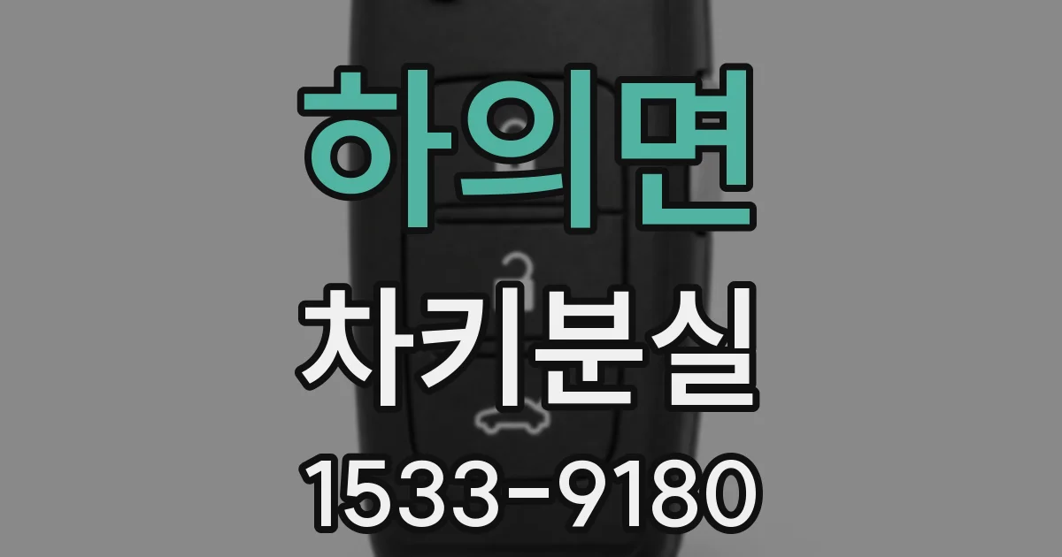 하의면 차키분실