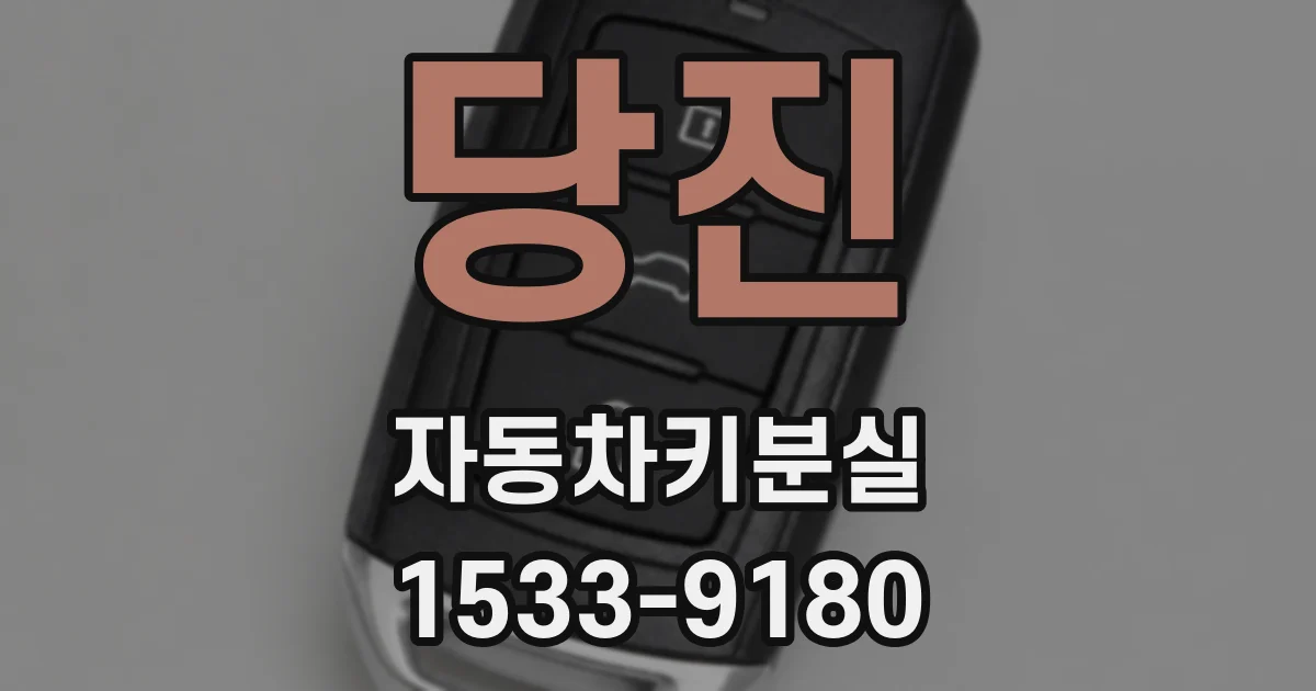 당진 자동차키분실