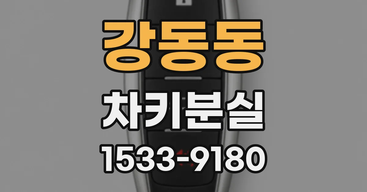 강동동 차키분실