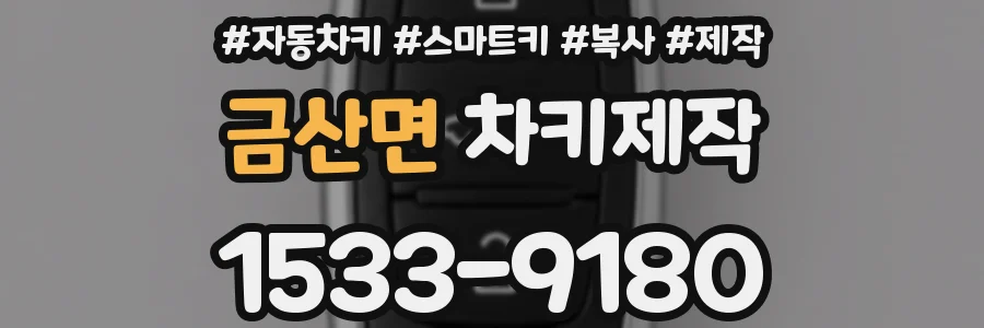 금산면 차키제작