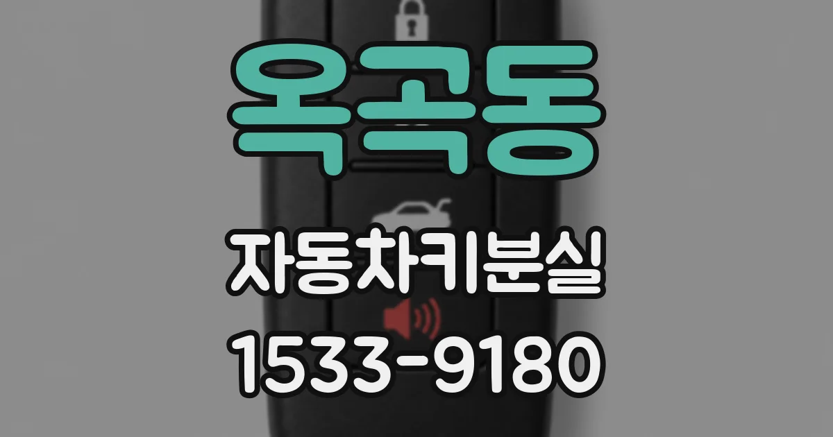 옥곡동 자동차키분실