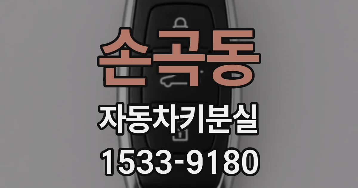 손곡동 자동차키분실