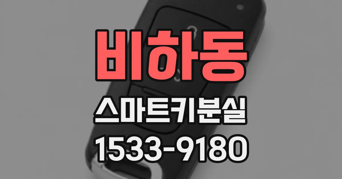 비하동 스마트키분실