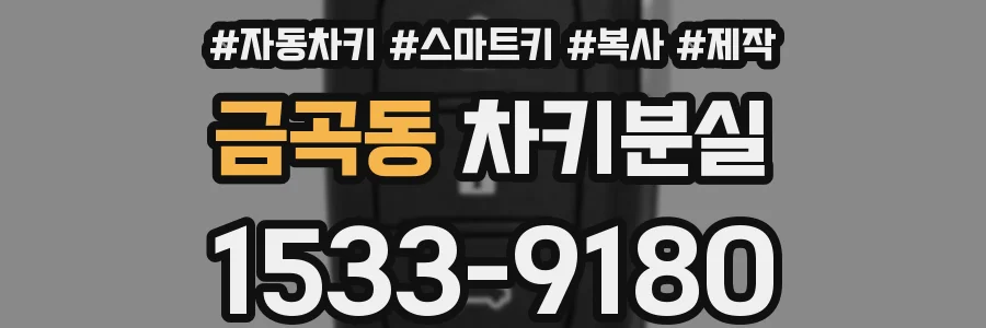 금곡동 차키분실