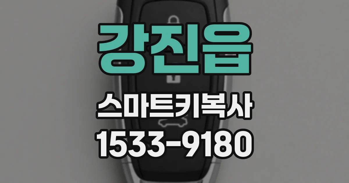 강진읍 스마트키복사