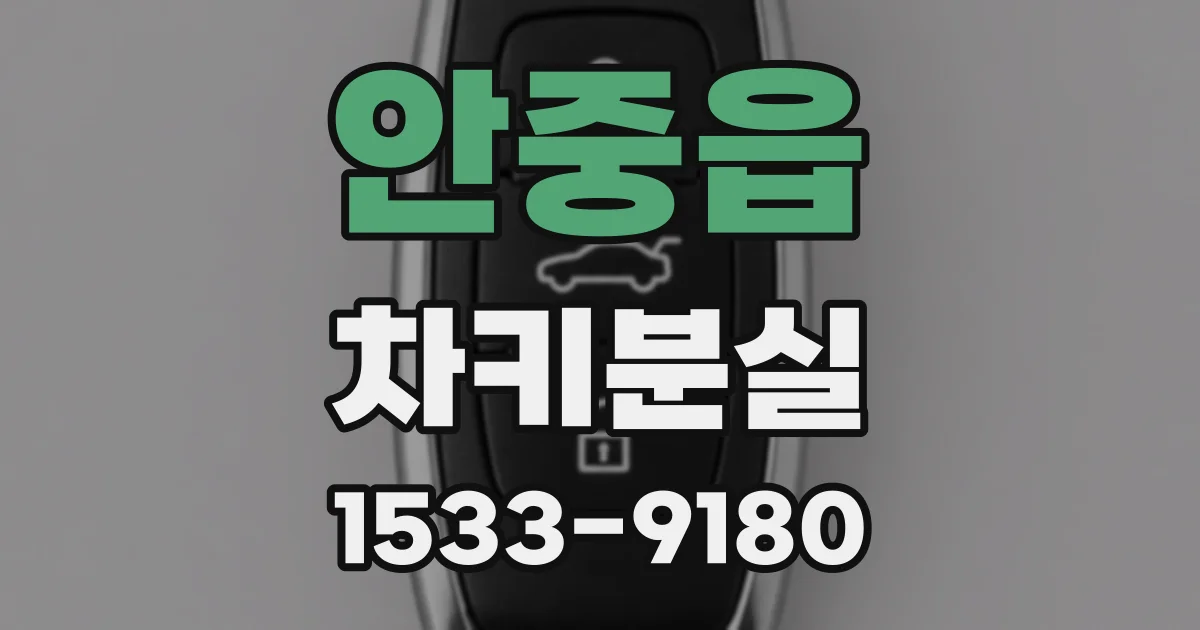 안중읍 차키분실