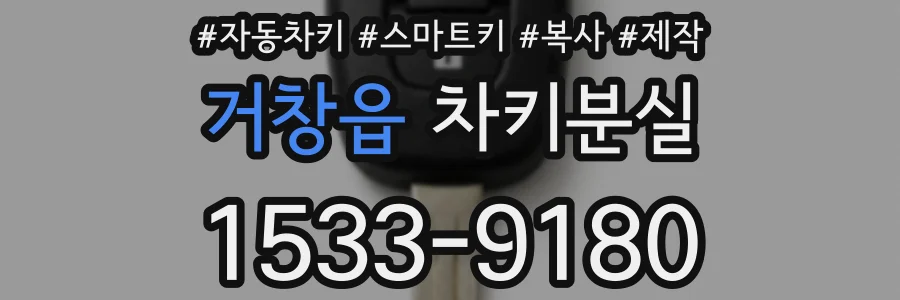 거창읍 차키분실