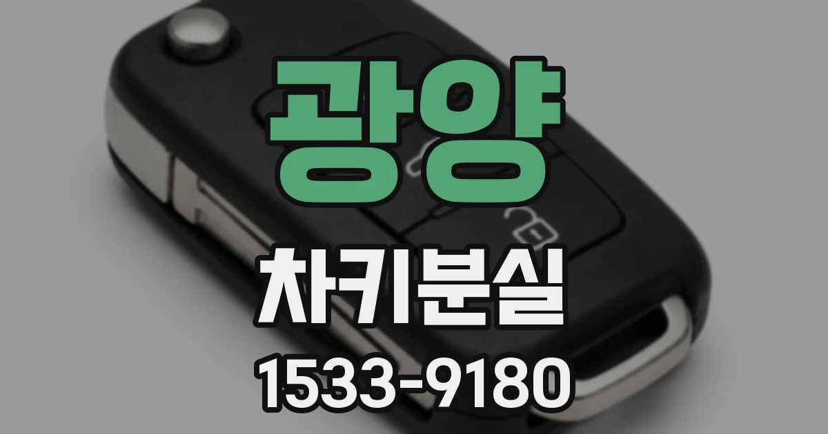 광양 차키분실