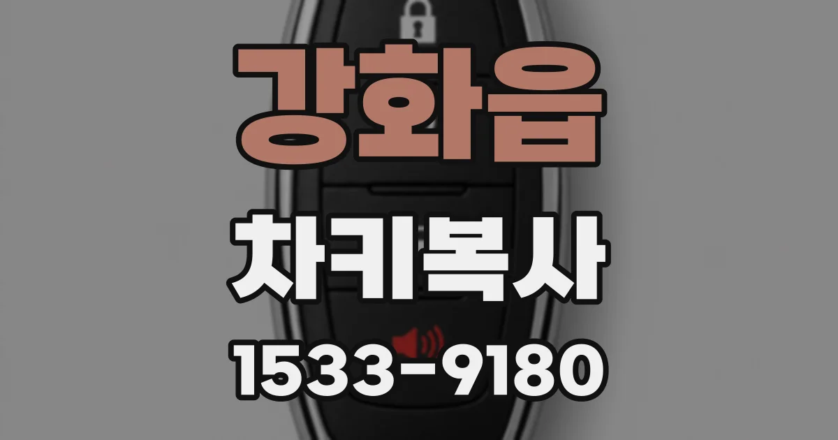 강화읍 차키복사