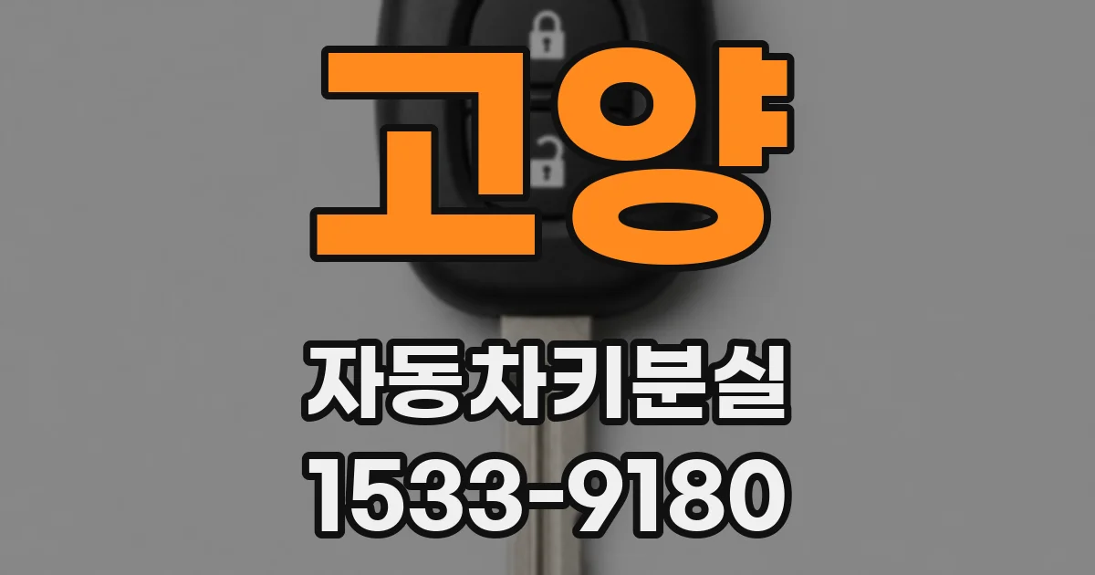 고양 자동차키분실