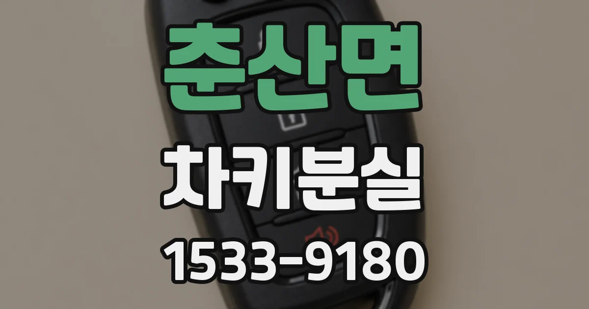 춘산면 차키분실