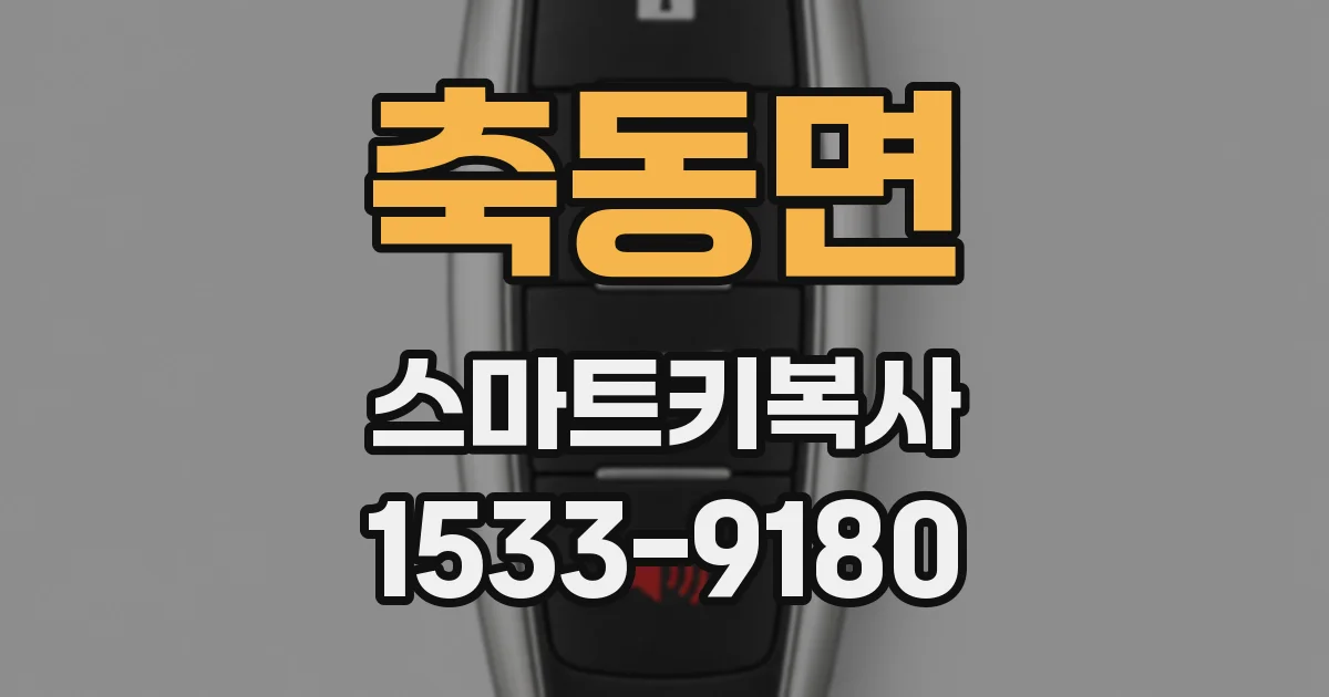 축동면 스마트키복사