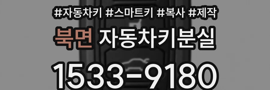 북면 자동차키분실