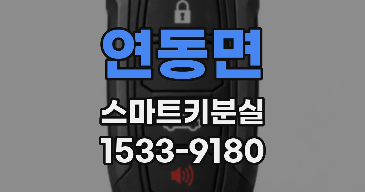 연동면 스마트키분실