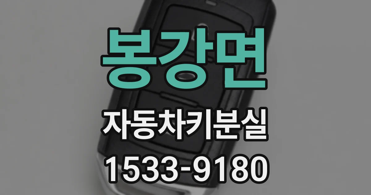 봉강면 자동차키분실