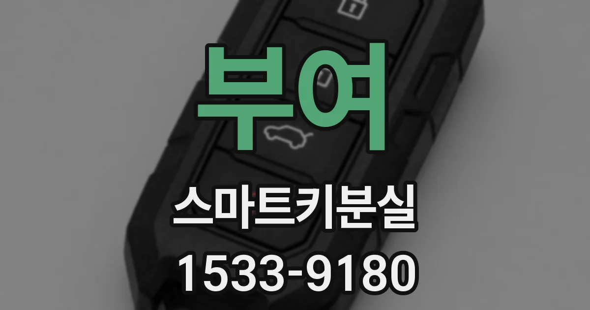 부여 스마트키분실