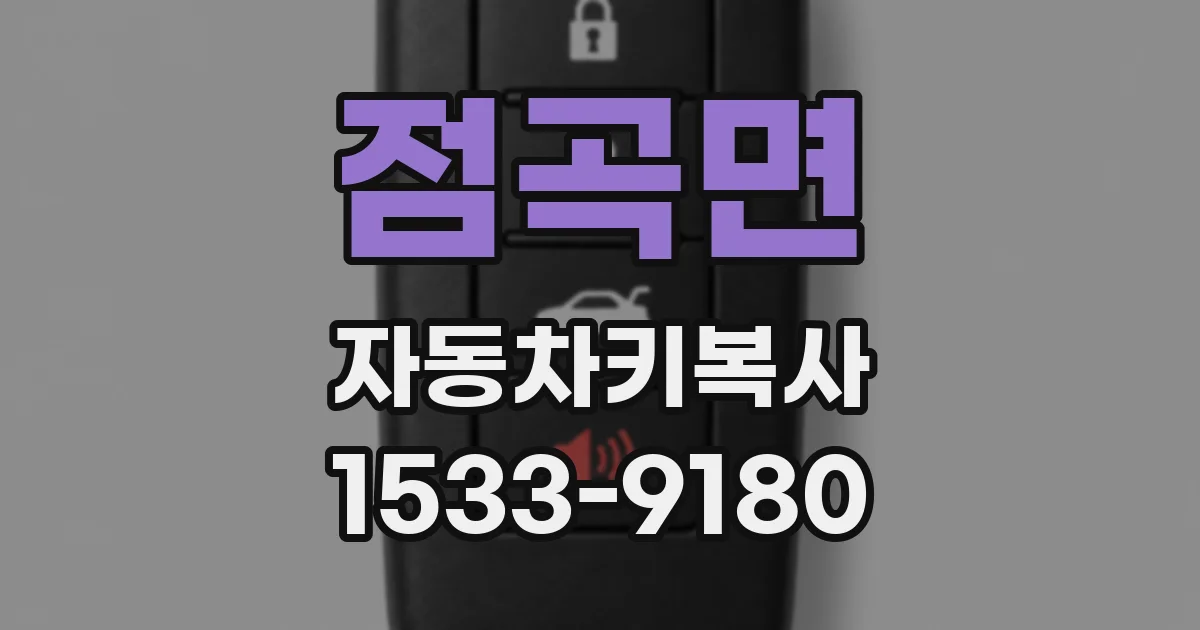 점곡면 자동차키복사