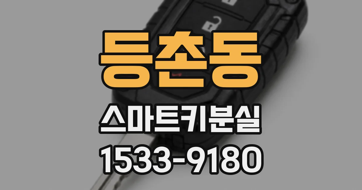 등촌동 스마트키분실