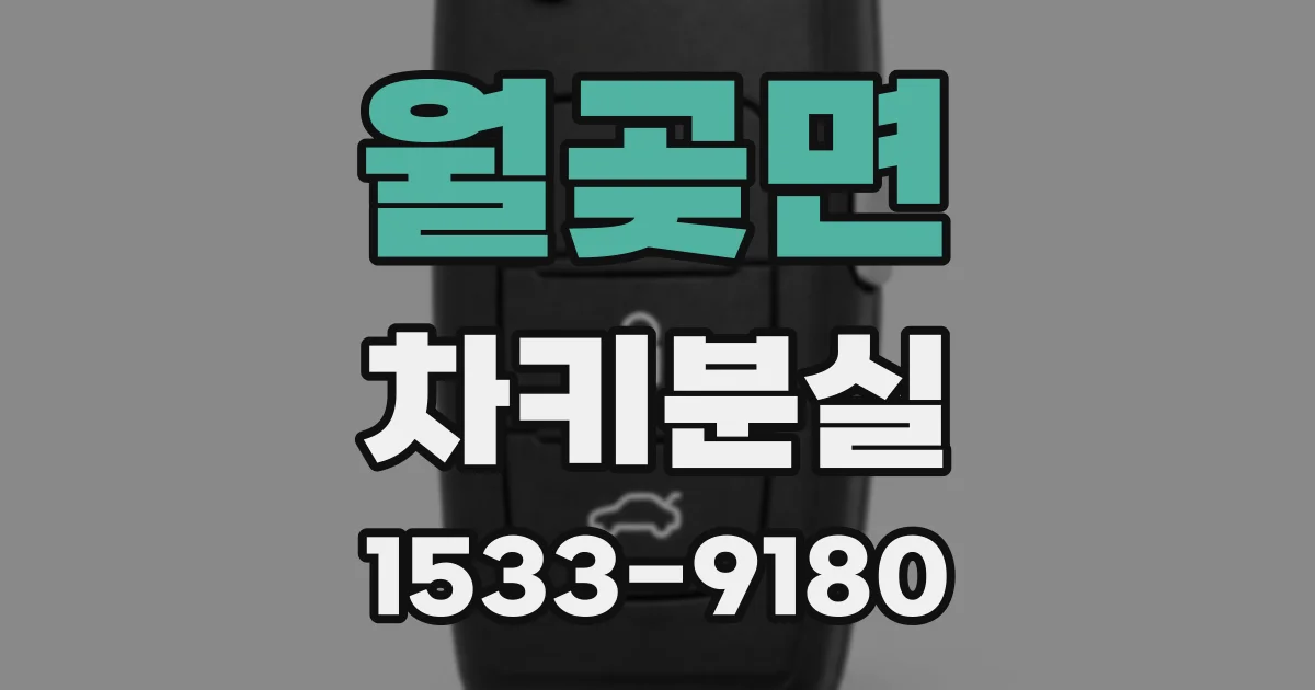 월곶면 차키분실